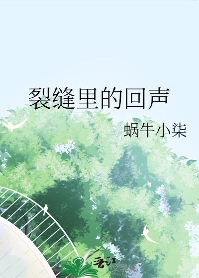 裂缝里的回声